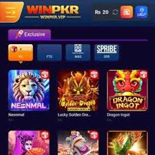 WinPKR Game Screenshot Pakistan - Online Gaming App Interface